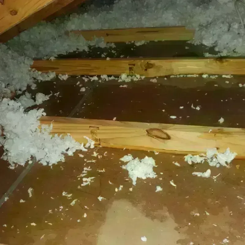 Attic Water Damage in Hartford, IL