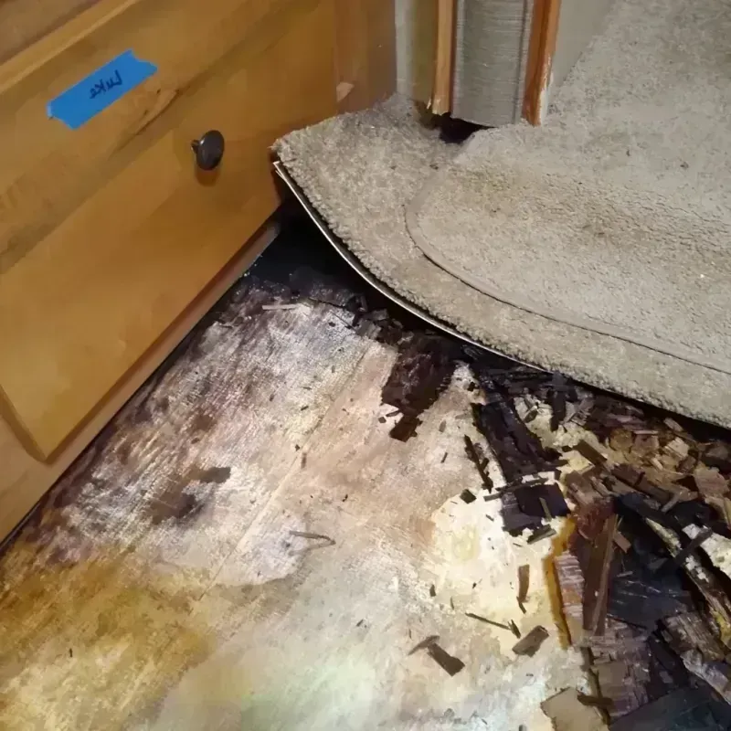 Wood Floor Water Damage in Hartford, IL